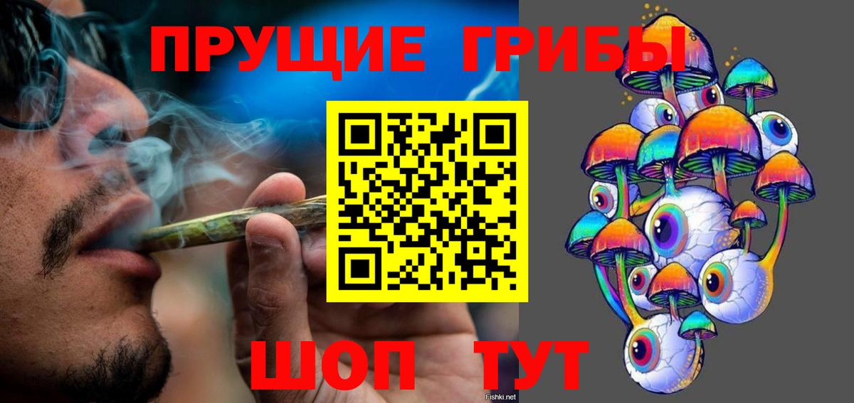 Родники  Псилоцибиновые грибы Psilocybe  Вход с VPN 